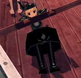 mabinogi_2009_05_28_001.jpg