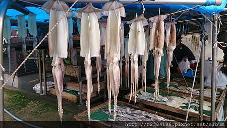 DSC_5428[1].jpg