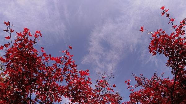 P_20161117_122227.jpg