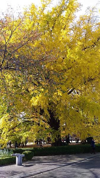 P_20161117_121157.jpg