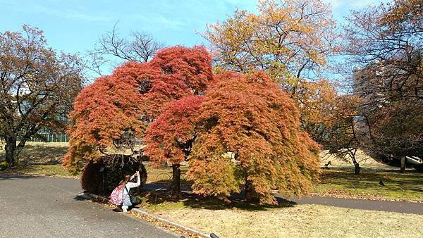 P_20161117_120154.jpg