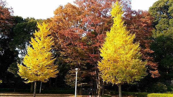 P_20161118_144346.jpg