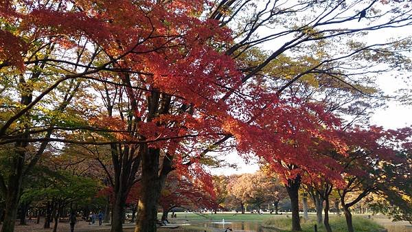 P_20161118_151851.jpg