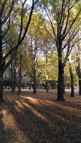 P_20161118_153445.jpg