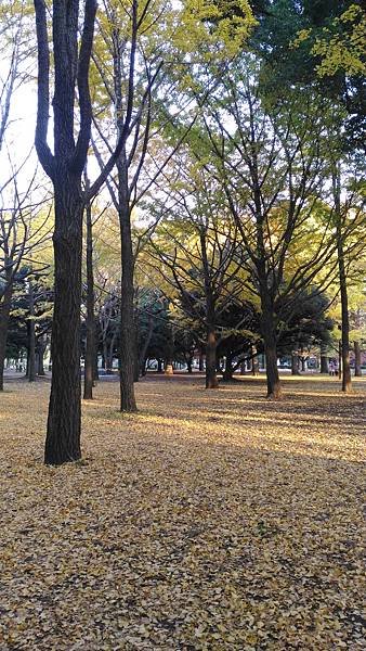 P_20161118_153617.jpg