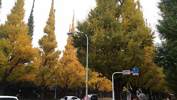P_20161119_130751.jpg