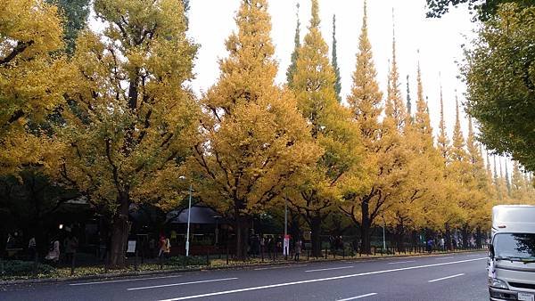 P_20161119_130849.jpg