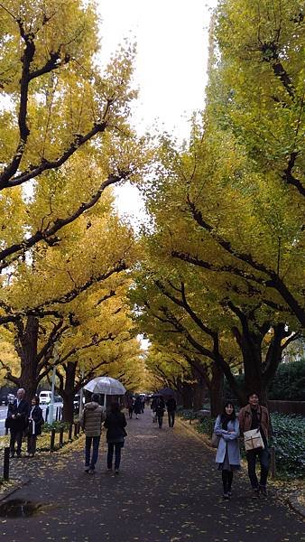 P_20161119_132346.jpg