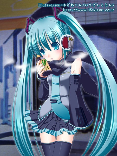 初音6.jpg
