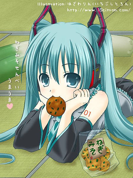 初音9.jpg