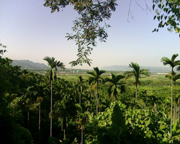IMG4482A.jpg