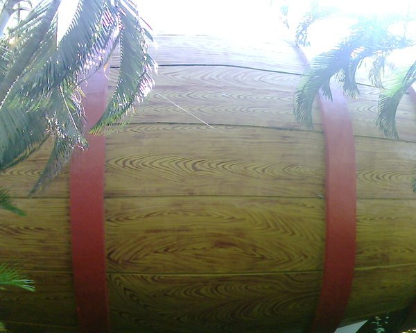 IMG4502A.jpg