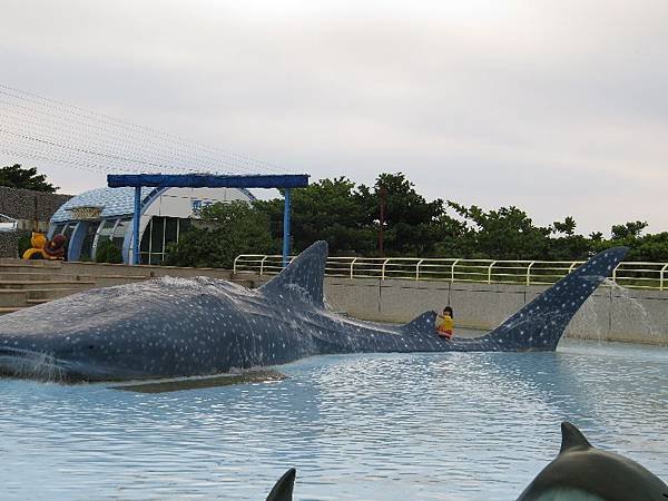 20150806-1--海生館 (35)