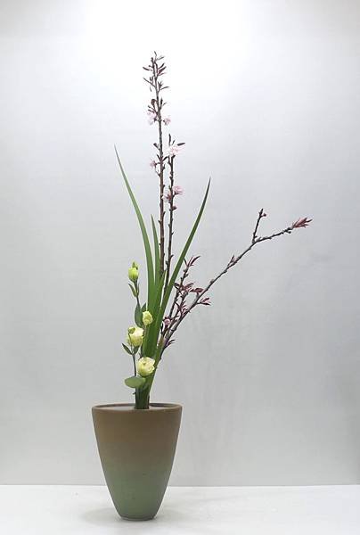 三種生-200616 (2).JPG