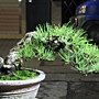 IMG_4881_調整大小