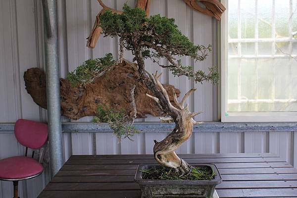 IMG_5304_調整大小