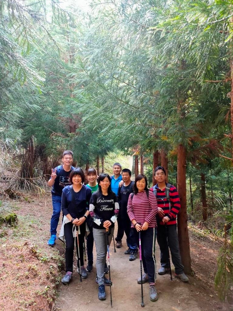 司馬庫斯登山步道沿路風景01.jpg