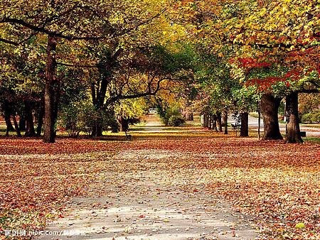 2007101912531595.jpg