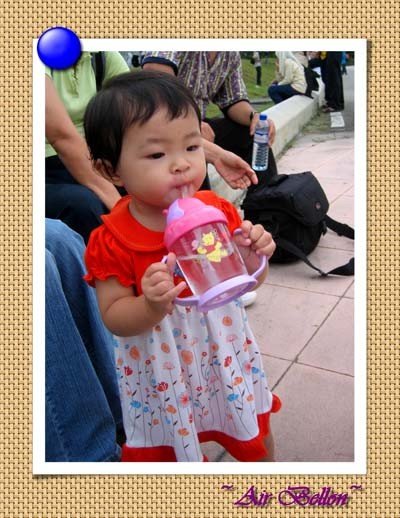 2009 国际热气球比赛-04