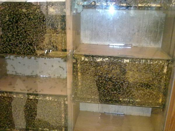 20110409134.jpg