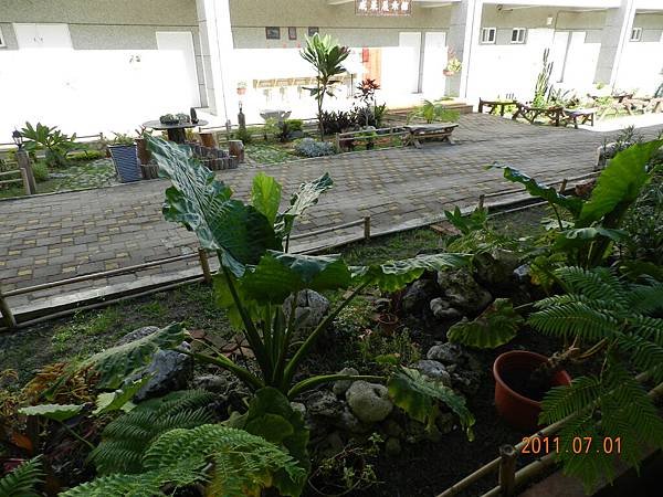 DSCN0395.JPG