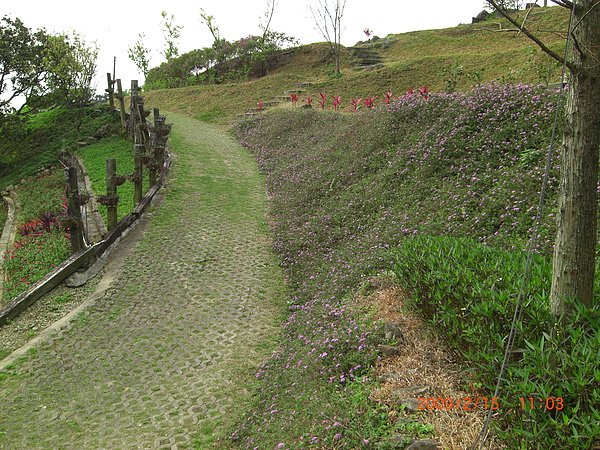 CIMG0829.JPG