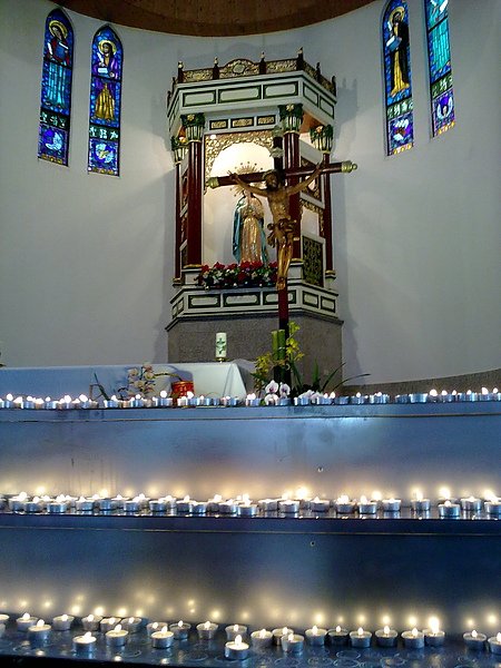 20110205084.jpg