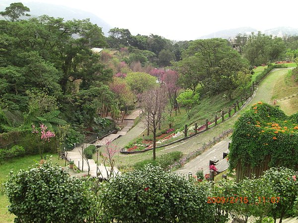 CIMG0832.JPG