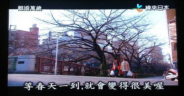 日劇離婚萬歲場景TV擷取6.jpg