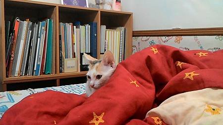 P_20161105_230326.jpg