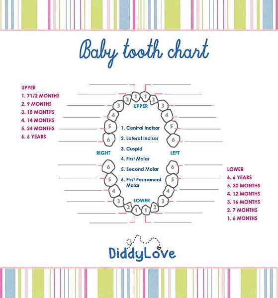 Baby Tooth Chat.jpg