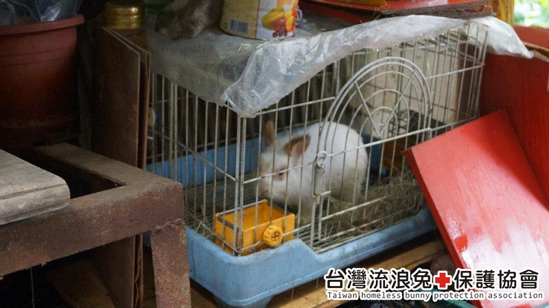 魯夫_通報救援