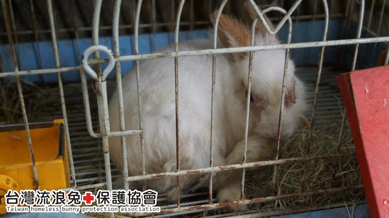 魯夫_通報救援