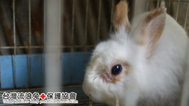 魯夫_通報救援