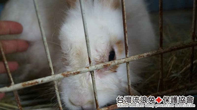 魯夫_通報救援