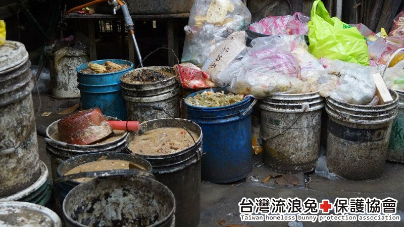 魯夫_通報救援