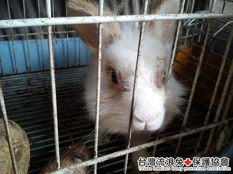 魯夫_通報救援