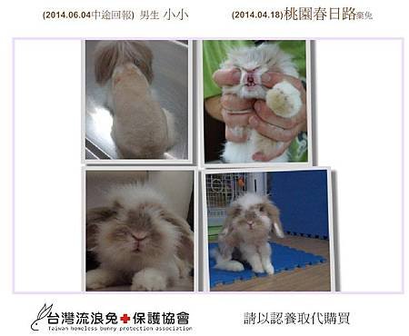 PhotoCap_001