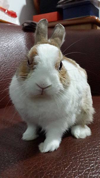 20140612_190651.jpg