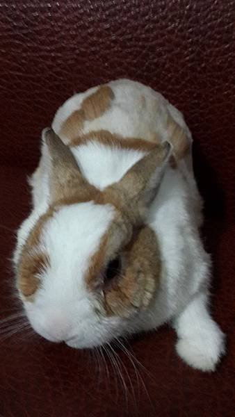 20140613_195553.jpg