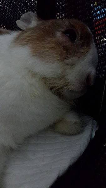 20140714_201117.jpg