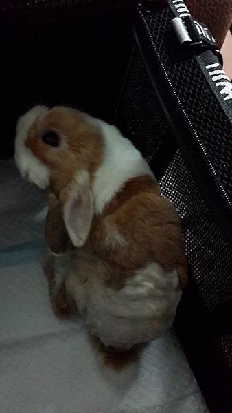 20140714_202535.jpg