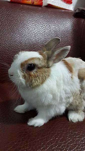 20140612_190558.jpg
