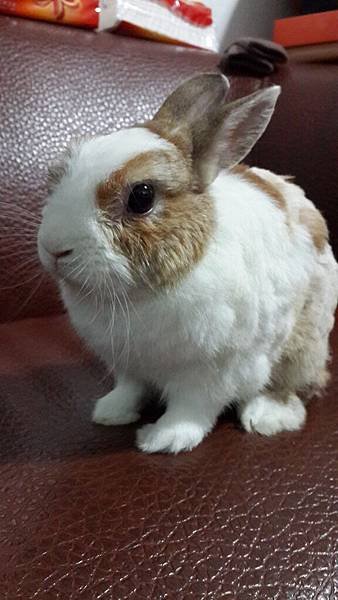 20140612_190619.jpg