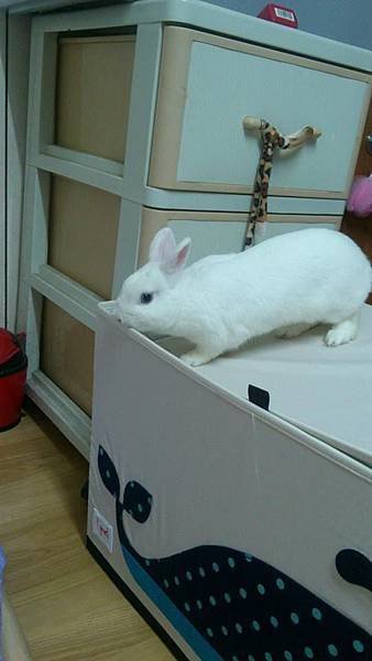 成功