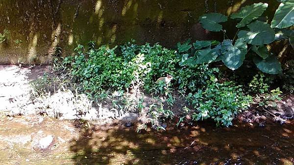 P_20150430_132207.jpg