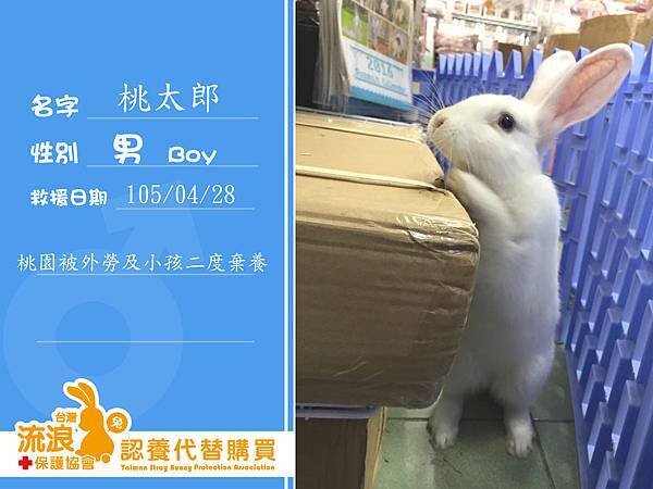 送