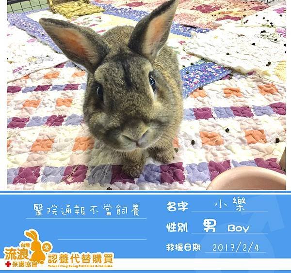 送
