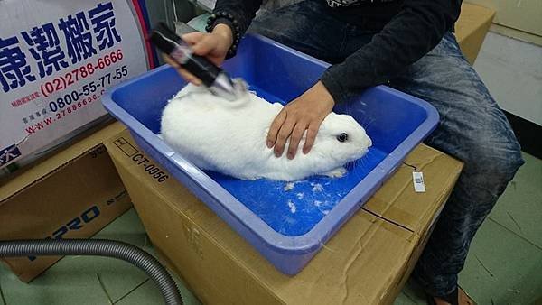 (21)_1_桃太郎.jpg