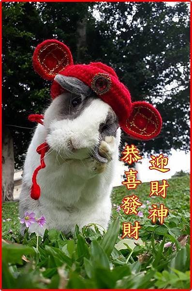 晨晨(42).jpg